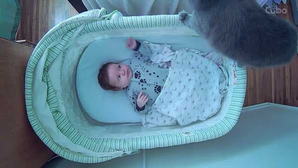 This Mummy Biologist Loved The Cubo AI Bird!