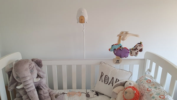 Out of All the Baby Monitors, The Only One For Us